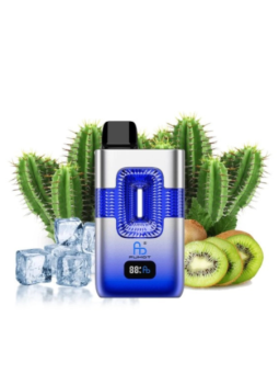 Eco 2in1 50K Cactus Glacé / Cactus Kiwi | Puff